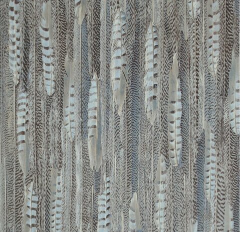 BN Wallcoverings Curious 17967 feathers