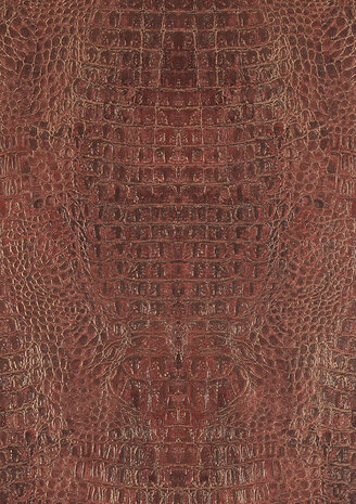 BN Wallcoverings Curious 17957  crocodile .