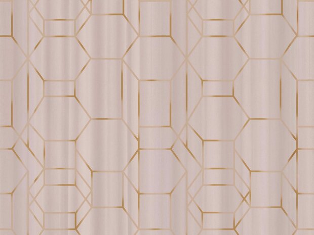 BN Wallcoverings Dimensions 219601 - Roze met goud by Edward van Vliet